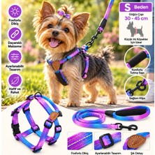 Baron Pet Ally Paws Köpek Göğüs Tasması ve Gezdirme Kayışı Seti S Beden 8mm x 120CM