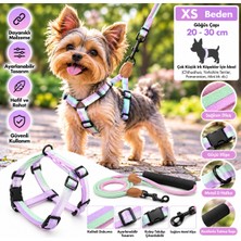 Baron Pet Ally Paws Köpek Göğüs Tasması ve Gezdirme Kayışı Seti Xs Beden 6mm x 120CM - Pastel