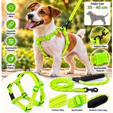 Baron Pet Doglife Köpek Göğüs + Fitil Gezdirme Tasması 6mm