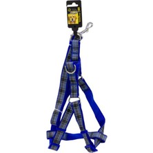 Baron Pet Doglife Desenli Köpek Göğüs Tasması + Gezdirme 2,5cm