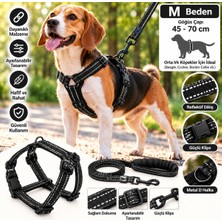 Baron Pet Doglife Köpekler Için Göğüs + Fitil Gezdirme Tasması Seti 10MM M Beden - Siyah Reflektif