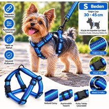 Baron Pet Doglife Köpekler Için Reflektörlü Göğüs Tasması ve Gezdirme Kayışı Seti 1,5cm S Beden - Mavi