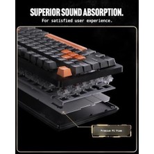Prime Arcplay Rgb Q Kablolu Mekanik Gaming Klavye Oyuncular Için Tasarlandı Multi-Fonksiyon Ses Ayarı (Cherry Mx Brown Switch / 8000 Hz Speed For Performance) PJ2100US - APP06427