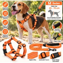 Baron Pet Doglife Köpekler Için Göğüs + Fitil Gezdirme Tasması Seti 8mm M Beden
