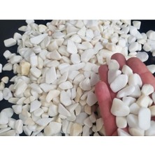 Dolomit Taş 500 gr 1-2 cm Dere Çakıl Taşı Saksı Taşı Akvaryum Teraryum Taşı Bahçe Taşı No.2m