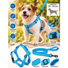 Baron Pet Doglife Fosforlu Köpek Göğüs Tasması + Gezdirme 1,5cm