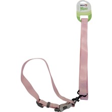 Baron Pet Senye Köpek Boyun Tasması Takım Yeşil X-Large