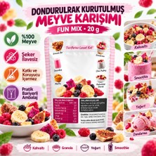 Die Grup Mey Ithalat® Fresh Dondurularak Kurutulmuş Fun Mix 20 G