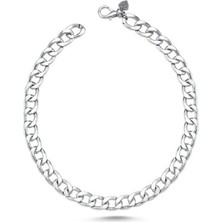 Baron Pet Köpek Boyun Zinciri Kolye Silver Small 25 cm