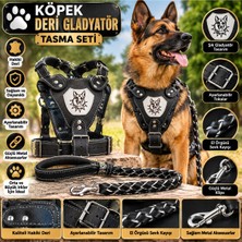 Baron Pet Köpek Hakiki Deri Gladyatör Göğüs Tasma Seti - Armalı, El Örgüsü Sevk Kayışı