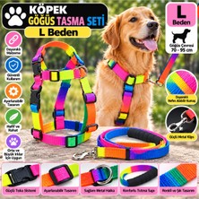Baron Pet Doglife Köpek Göğüs Tasması Seti Gökkuşağı (Rainbow) L Beden 2,5 cm - Göğüs 70-95 cm
