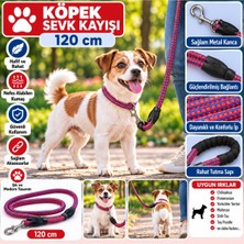 Baron Pet Senye Köpek Sevk Kayışı Örgülü Fitil Kırmızı-Mavi 120 cm