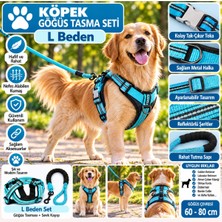 Baron Pet Senye Köpek Göğüs Tasması Seti Reflektörlü L Beden - Mavi (Göğüs 60-80 Cm)