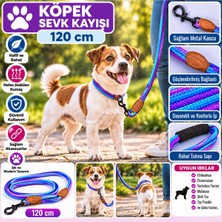 Baron Pet Ally Paws Köpek Sevk Kayışı Gezdirme Tasması 8mm x 120CM - Mor Mavi