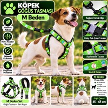 Baron Pet Senye Köpek Göğüs Tasması Seti Reflektörlü M Beden - Yeşil Desenli (Göğüs 45-65 Cm)
