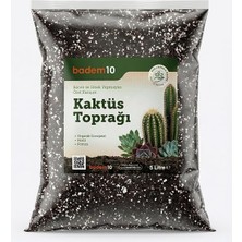 MSP Cocopeat Perlit Pomza Karışımlı Kaktüs ve Sukulent Toprağı 5 Litre