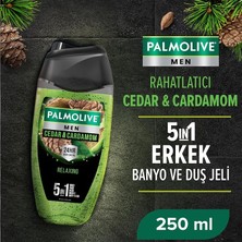 MSP Men Duş Jeli 250 ml Cedarwood