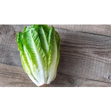 MSP Adet Parris Island Romaine Marul Tohumu