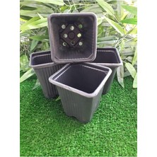 MSP Saksı 30 Adet 8X8X9 cm Vakum Saksı Ucuz Saksı Üretim Saksısı Fide Saksısı Siyah Saksı