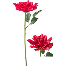 Ms Smycka Yapay Çiçek Fuşya Pembe Yıldız Çiçeği 30 cm