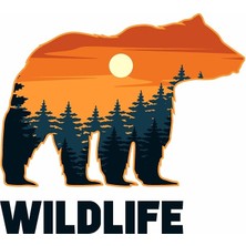 MSP Usta Ayı - Doğa - Manzara - Kamp - Wild Life -Off Road - Adventure -Bear - Kamp Wildlife Offroad Sticker 02060 Renkli 20X18 cm