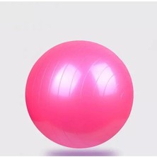 MSP Stand Pembe Pilates Topu 65 cm Anti Burst Fitilli + Pompa