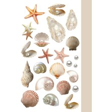 MSP Collection Sticker, Ajanda ve Günlük Için Çıkartma, Yüksek Kaliteli Kağıt, Kendinden Yapışkanlı, 10X20 Cm, Planlayıcı ve Bullet Journal Için, Deniz Kabuğu Temalı