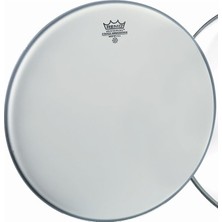 MSP 12'' Ambassador Kaplamalı Tom Derisi