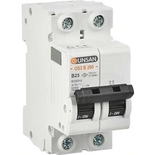 MSP Otomatik Sig. 2p 6ka B Tip 6A