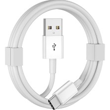 MSP Carplay Kablo iPhone 17 16 15 Pro Max Hava 3ft USB A USB C Kablosu
