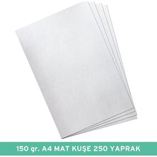 MSP 150 gr A4 Mat Kuşe Kağıt, 250 Yaprak