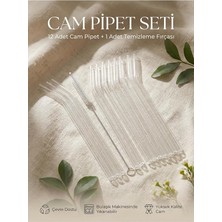 MSP Cam Pipet ve Pipet Temizleme Fırçası, Kalın Cam Pipet Şeffaf