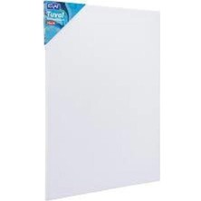 MSP Tuval 50X70 930G