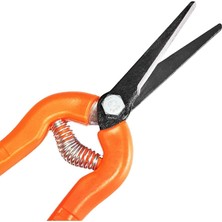 MSP Uçlu Bahçe Makası Bitki Çiçek Gül Üzüm Çubuk Yaprak Narenciye Hasat Toplama Makası, 01502101101101