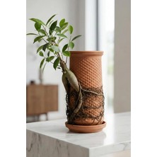 MSP Canlı Saksı Hidroponik El Yapımı Topraksız Saksı, Terracotta Doğal Kil Saksı