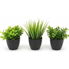 MSP Mini Yapay Çiçek Sukulent Seti, Saksılı Yapay Sukulent Bitki, Dekoratif Masaüstü Mini Bitkiler, Ev ve Ofis Dekoru, 8 cm (Siyah)
