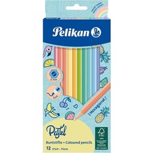 MSP Li Pastel Renk Kuru Boya Kalemi Karton Kutu 1 Paket 12 Renk Kuruboya Tam Boy Renkli Kalem
