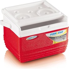 MSP Thermoware Soğutucu Çanta 4,5 Litre Mini Kamp Spor Kırmızı 21 x 20 x 16 cm