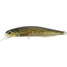 MSP Realis Jerkbait 100SP Pike CCC3815 Brown Trout Nd Suni Yem