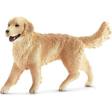 MSP World-Dişi Golden Retriever