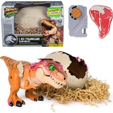 MSP Hatch Interactive Hatching Dino, Çok Renkli, 6072462