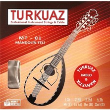 MSP Takım Mandolin Teli - Set
