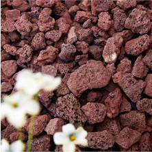 Pomza Taşı 5 kg 1,5-2,5 cm Kırmızı Pomza Tarım Pomzası Bahçe Saksı Teraryum Taşı Ponza
