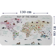 Uslucan Alışveriş Eğitici ve Bayraklı Dünya Haritası Dünya Atlası Çocuk ve Bebek Odası Duvar STICKER-85X130-3813