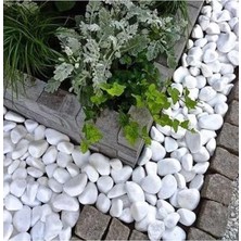 Beyaz Dolomit Taş 10 kg 4-6 cm Dekoratif Taş Bahçe Süs Taşı Doğal Dere Çakıl Taşı