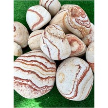 Taş Sarı Çizgili 25 kg 6-10 cm