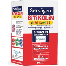 Mini Kapsül Sitikolin, Dha Omega 3 ve B12-60 Kapsül