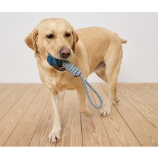 Tchibo Köpek Diş Bakımı ve Aport Oyuncağı