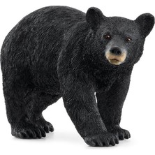 Schleich Amerikan Kara Ayısı 14869