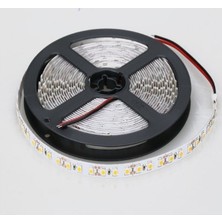 Cata Ct-4481 10ç Gün Işığı Renkli İç Mekan Led Şerit 5 Mt 12V Voltaj ile Enerji Tasarruflu